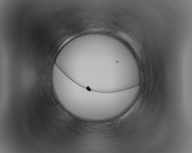 X0000088231361200705151040