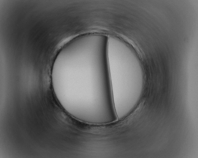 X0000088231363200705151040