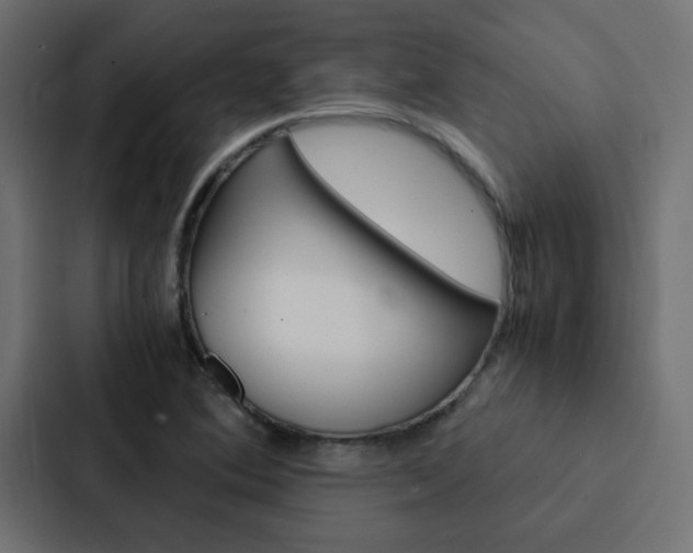 X0000088231364200705151040