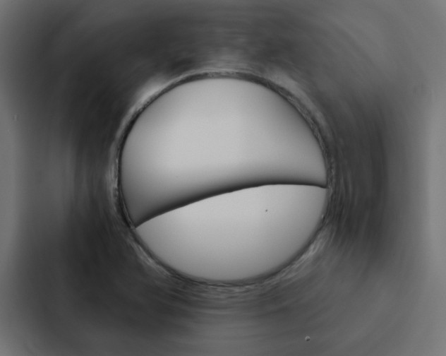 X0000088231366200705151040
