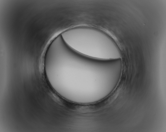X0000088231367200705151040