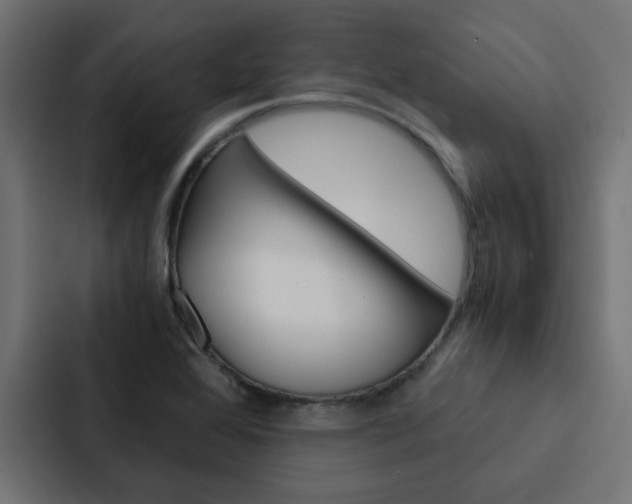 X0000088231368200705151040