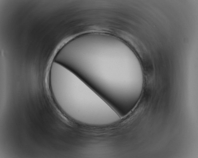 X0000088231371200705151040