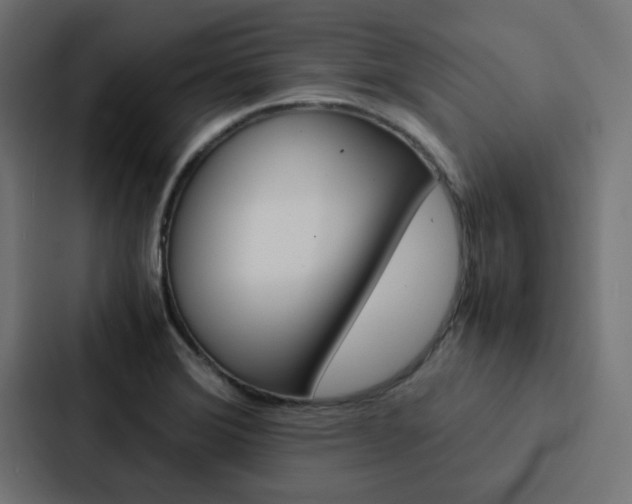 X0000088231372200705151040