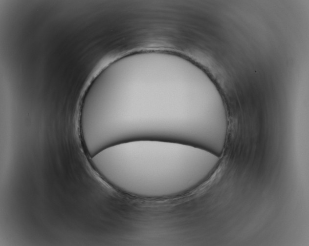X0000088231374200705151040