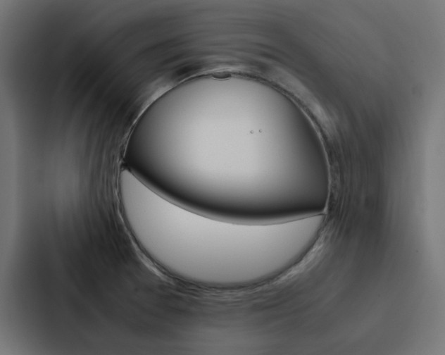 X0000088231377200705151040