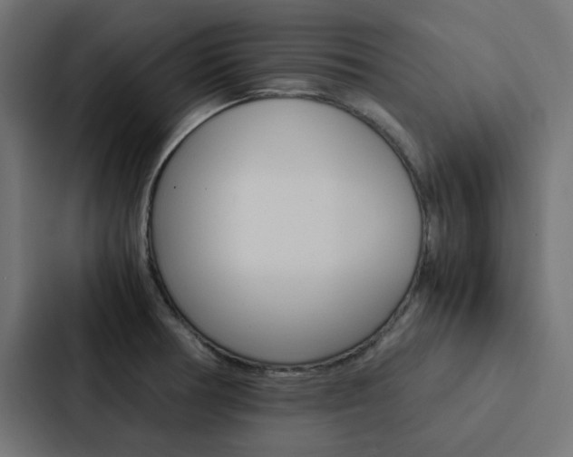X0000088231378200705151040