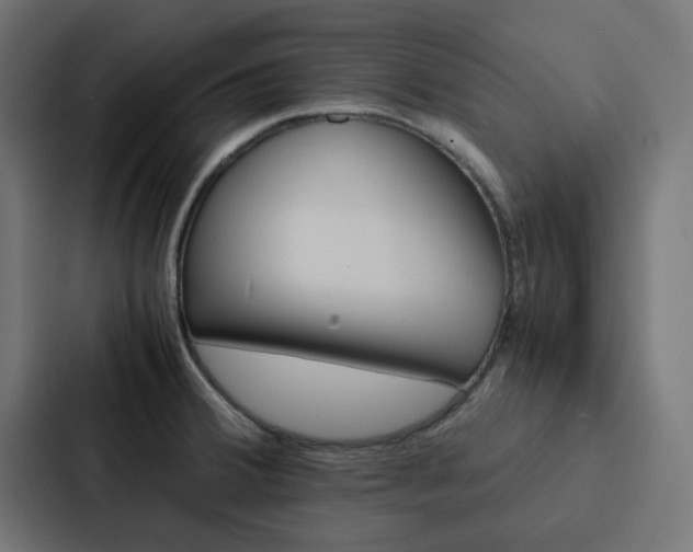 X0000088231380200705151040