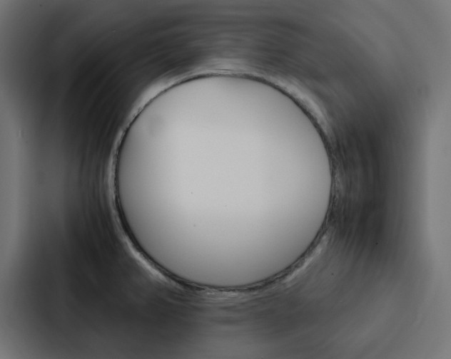 X0000088231382200705151040
