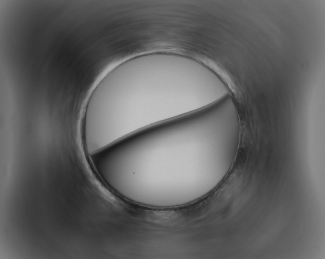 X0000088231383200705151040