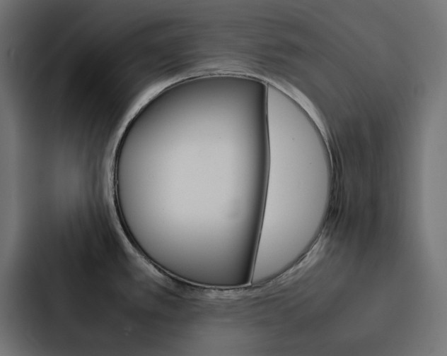 X0000088231389200705151040