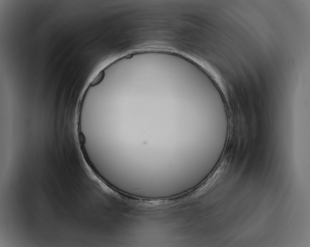 X0000088231390200705151040