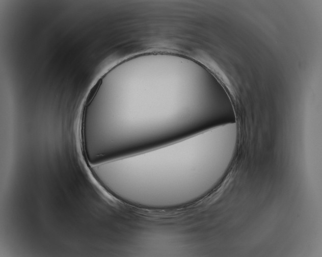 X0000088231391200705151040