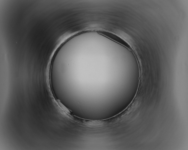 X0000088231392200705151040