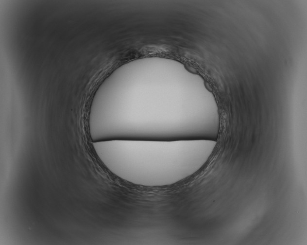 X0000088231393200705151039