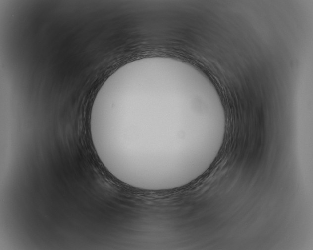 X0000088231394200705151039