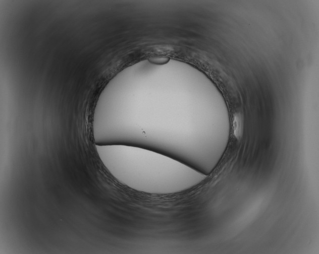 X0000088231395200705151039