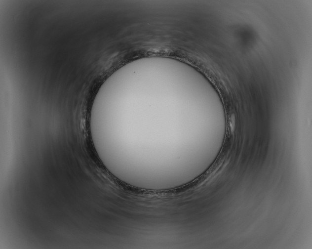 X0000088231396200705151039