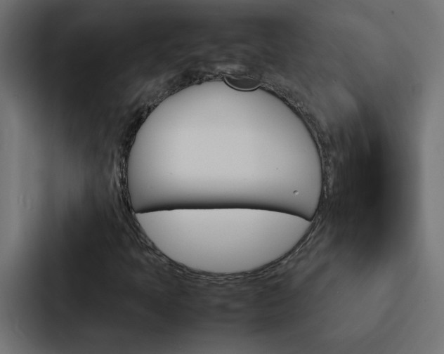 X0000088231397200705151039