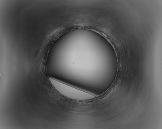 X0000088231398200705151039
