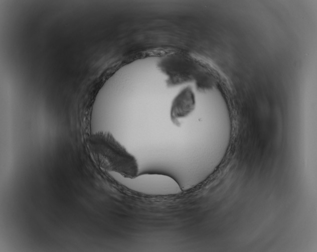 X0000088231399200705151039