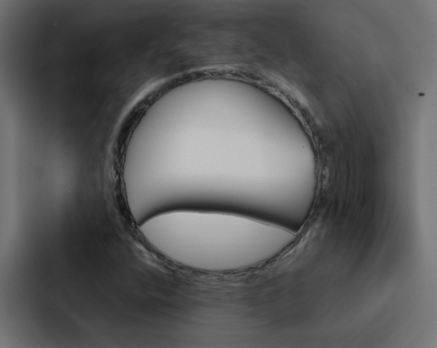 X0000088231400200705151039