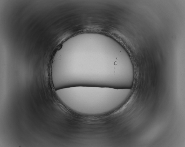 X0000088231401200705151039
