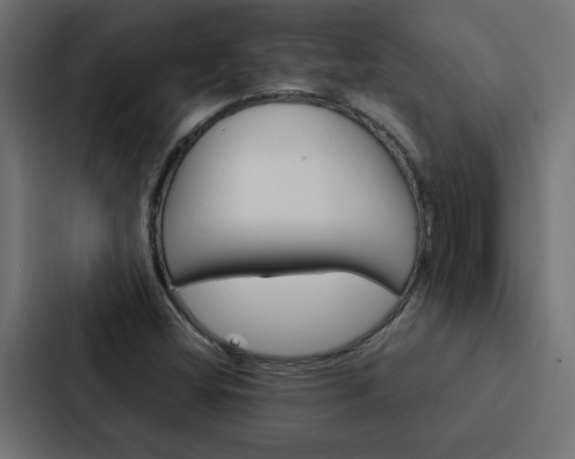 X0000088231404200705151040