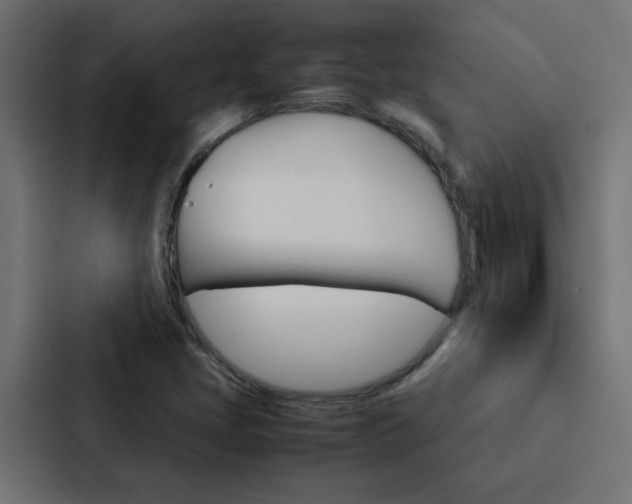 X0000088231405200705151040