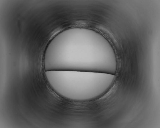 X0000088231409200705151040