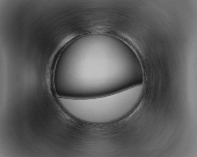 X0000088231410200705151040
