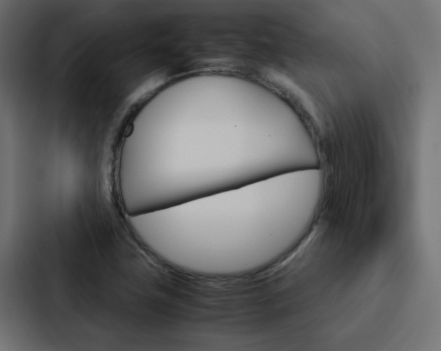 X0000088231411200705151040