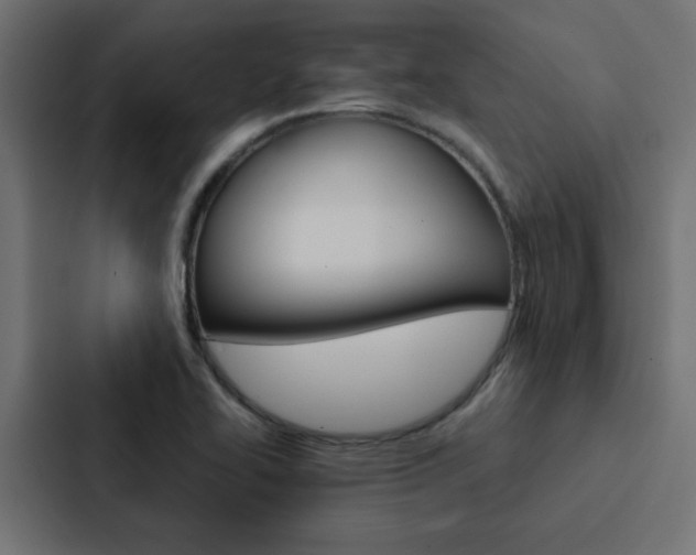 X0000088231414200705151040