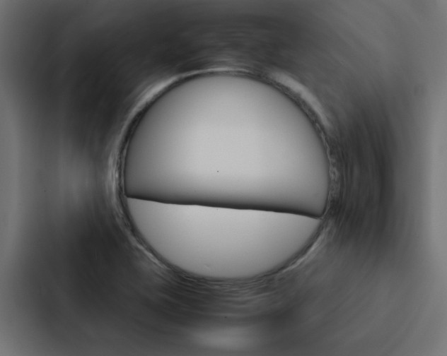 X0000088231415200705151040