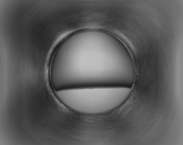X0000088231416200705151040