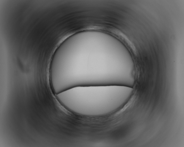X0000088231417200705151040