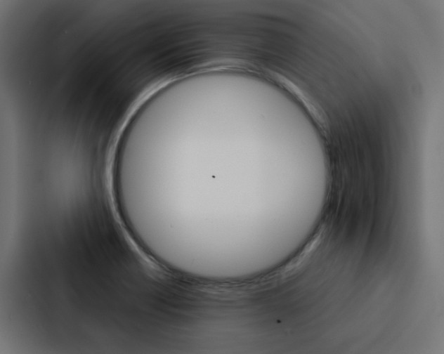 X0000088231418200705151040