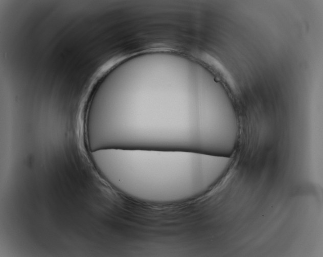 X0000088231419200705151040