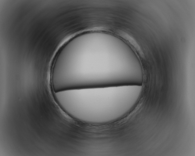X0000088231420200705151040