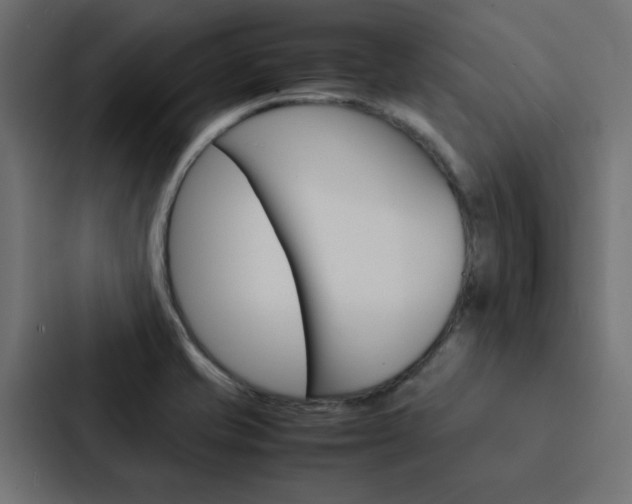X0000088231421200705151040