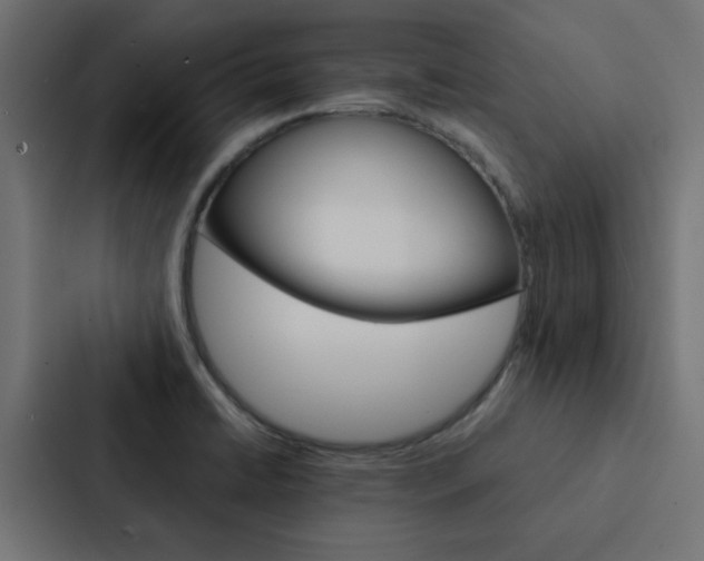 X0000088231422200705151040