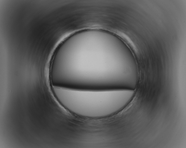 X0000088231424200705151040