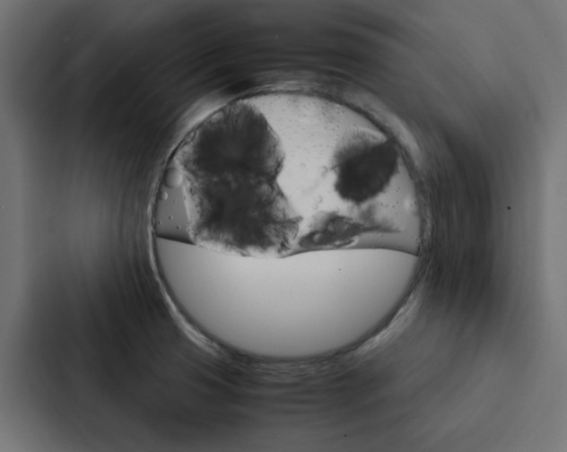 X0000088231425200705151040