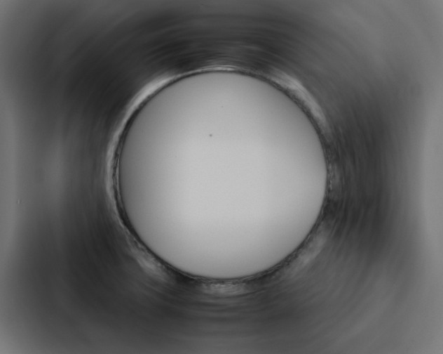 X0000088231427200705151040