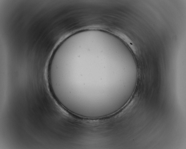 X0000088231428200705151040