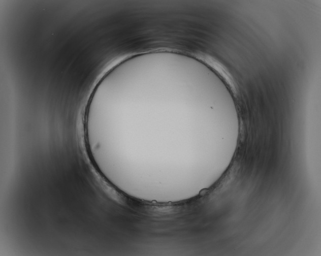X0000088231431200705151040