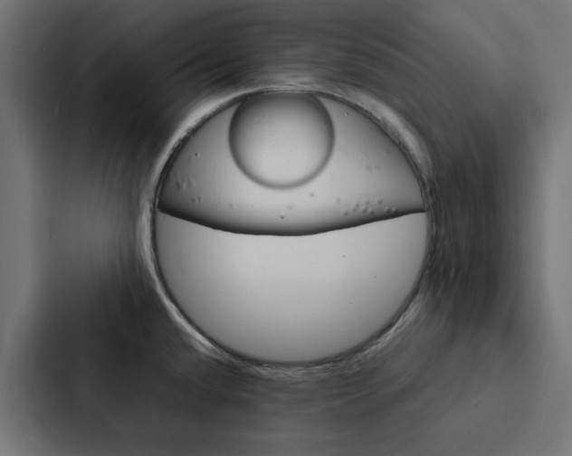 X0000088231432200705151040