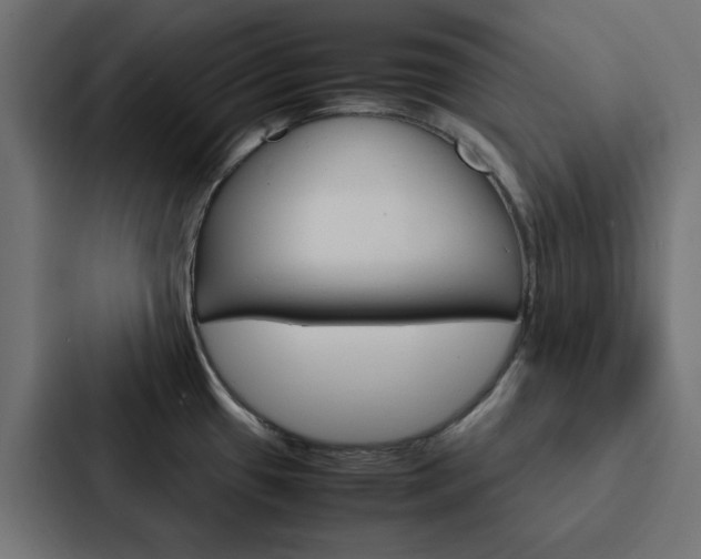 X0000088231433200705151040