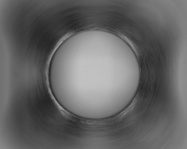 X0000088231434200705151040