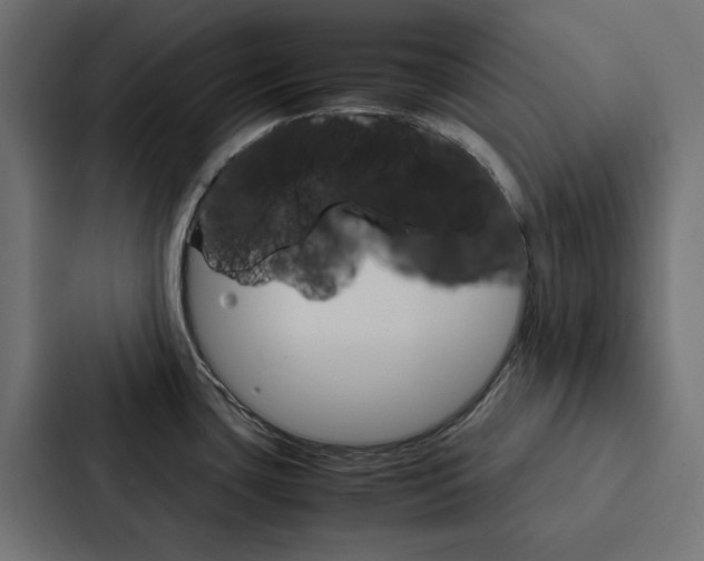 X0000088231435200705151040